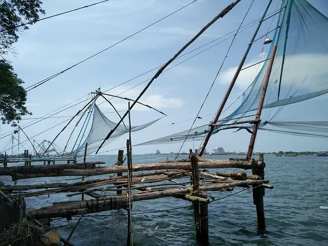 Kerala Backwaters & Hills 3